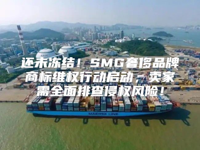 还未冻结！SMG奢侈品牌商标维权行动启动，卖家需全面排查侵权风险！