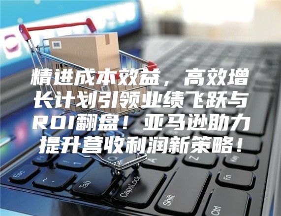 精进成本效益，高效增长计划引领业绩飞跃与ROI翻盘！亚马逊助力提升营收利润新策略！
