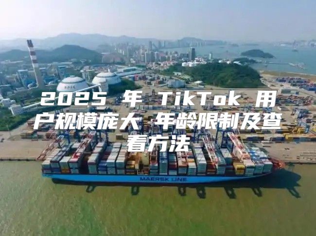 2025 年 TikTok 用户规模庞大 年龄限制及查看方法
