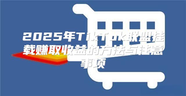 2025年TikTok联盟挂载赚取收益的方法与注意事项