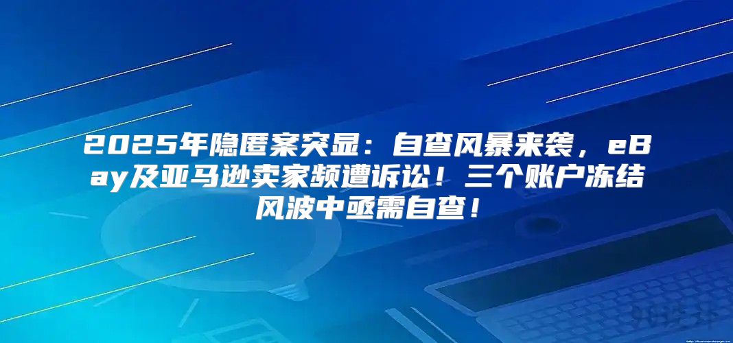 2025年隐匿案突显：自查风暴来袭，eBay及亚马逊卖家频遭诉讼！三个账户冻结风波中亟需自查！