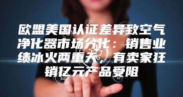 欧盟美国认证差异致空气净化器市场分化：销售业绩冰火两重天，有卖家狂销亿元产品受阻