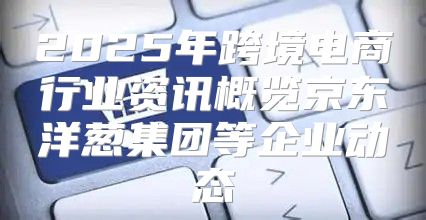 2025年跨境电商行业资讯概览京东洋葱集团等企业动态