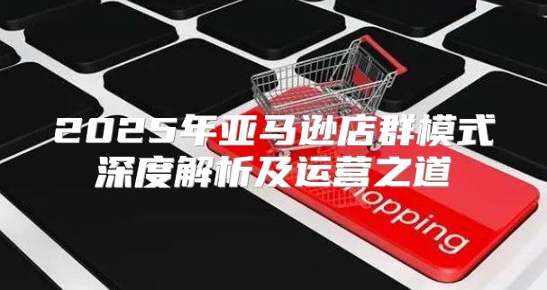 2025年亚马逊店群模式深度解析及运营之道