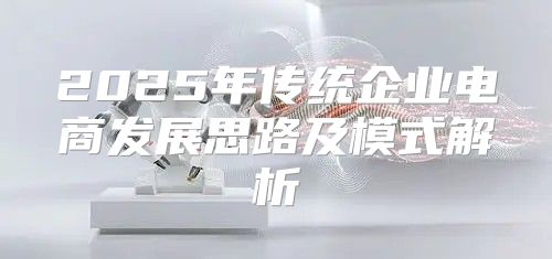 2025年传统企业电商发展思路及模式解析