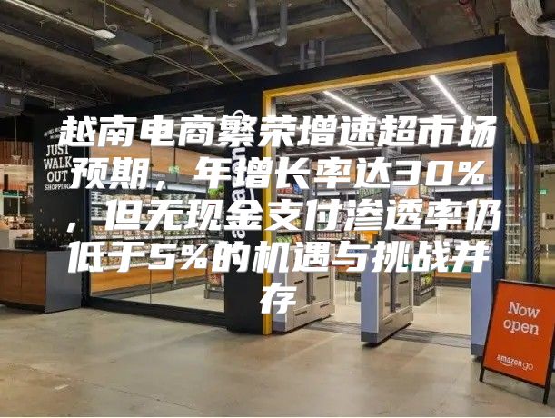 越南电商繁荣增速超市场预期，年增长率达30%，但无现金支付渗透率仍低于5%的机遇与挑战并存