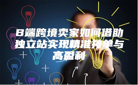 B端跨境卖家如何借助独立站实现精准接单与高盈利