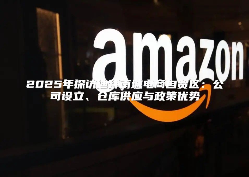 2025年探访迪拜南城电商自贸区：公司设立、仓库供应与政策优势