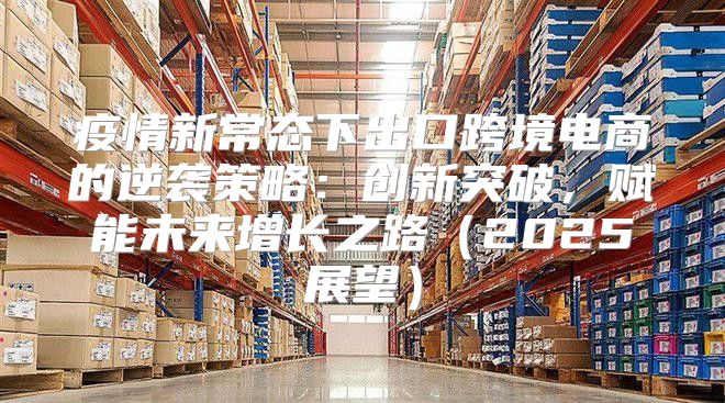 疫情新常态下出口跨境电商的逆袭策略：创新突破，赋能未来增长之路2025展望