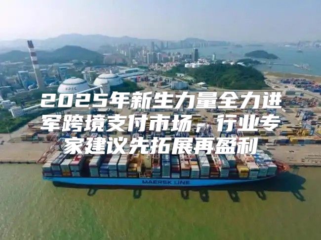 2025年新生力量全力进军跨境支付市场，行业专家建议先拓展再盈利