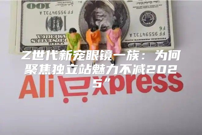 Z世代新宠眼镜一族：为何聚焦独立站魅力不减2025”