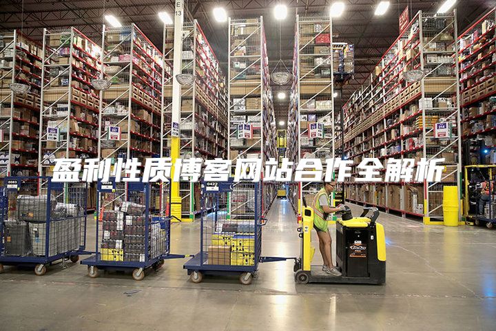 盈利性质博客网站合作全解析