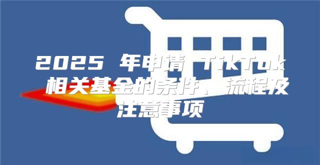 2025 年申请 TikTok 相关基金的条件、流程及注意事项