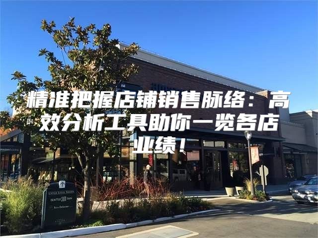 精准把握店铺销售脉络：高效分析工具助你一览各店业绩！