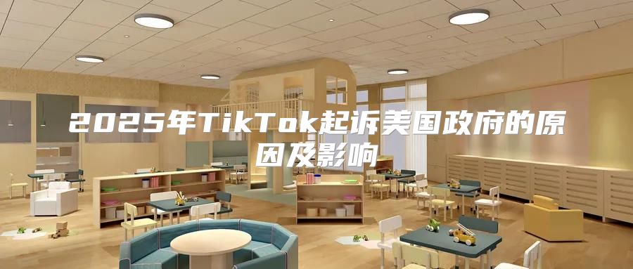 2025年TikTok起诉美国政府的原因及影响