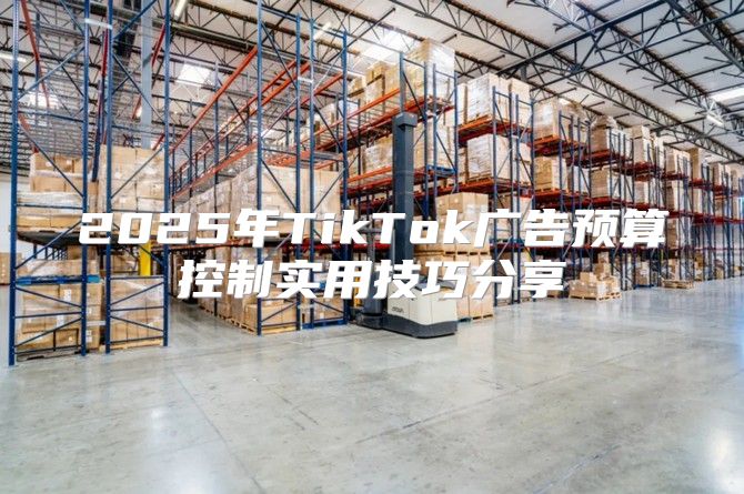 2025年TikTok广告预算控制实用技巧分享