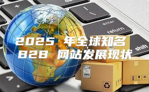 2025 年全球知名 B2B 网站发展现状
