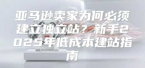 亚马逊卖家为何必须建立独立站？新手2025年低成本建站指南