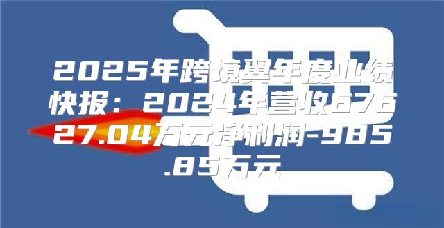 2025年跨境翼年度业绩快报：2025年营收67627.04万元净利润-985.85万元