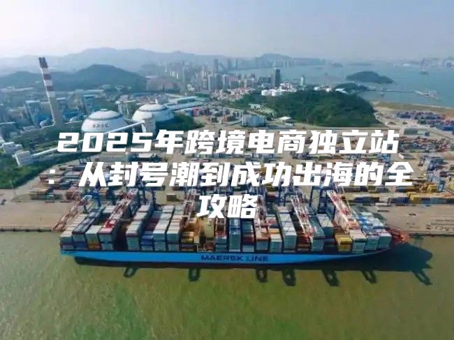 2025年跨境电商独立站：从封号潮到成功出海的全攻略