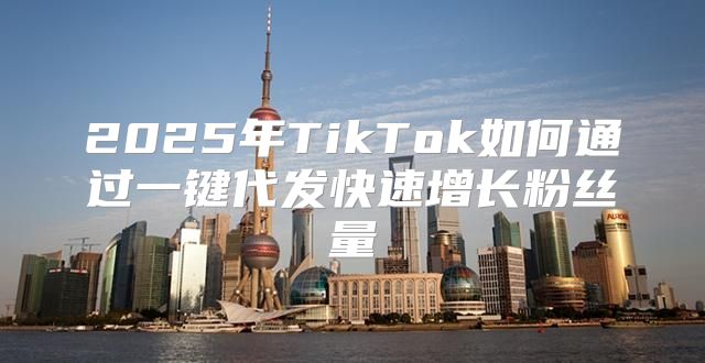 2025年TikTok如何通过一键代发快速增长粉丝量