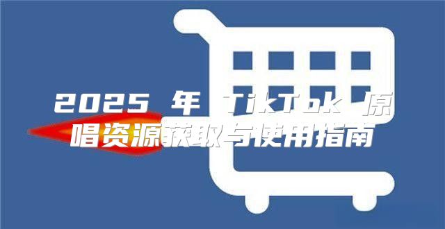 2025 年 TikTok 原唱资源获取与使用指南