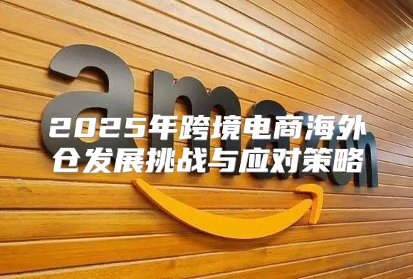 2025年跨境电商海外仓发展挑战与应对策略