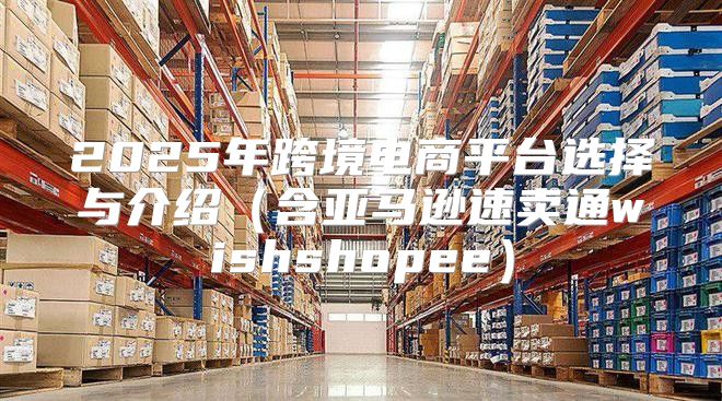 2025年跨境电商平台选择与介绍含亚马逊速卖通wishshopee