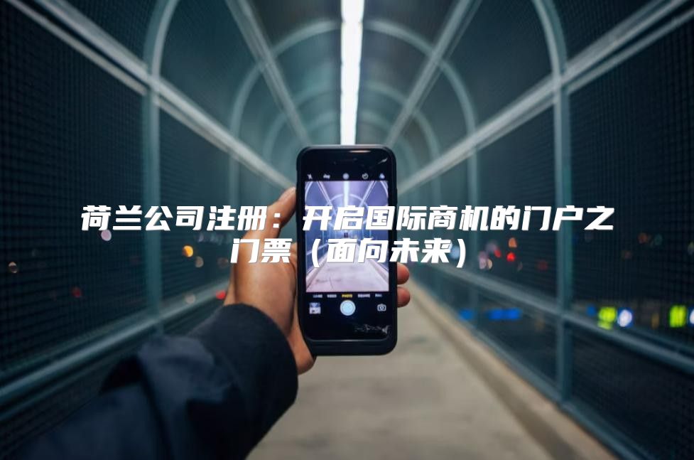荷兰公司注册：开启国际商机的门户之门票面向未来