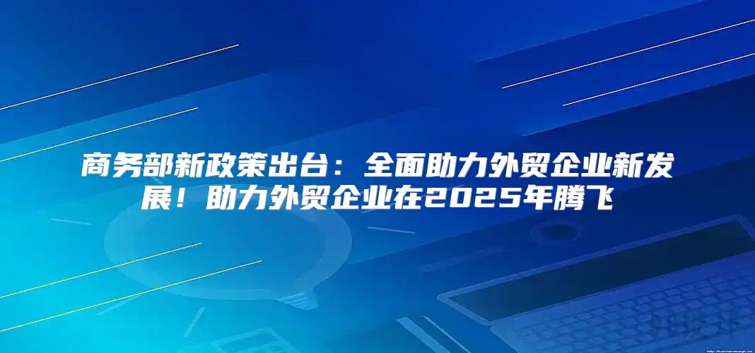 商务部新政策出台：全面助力外贸企业新发展！助力外贸企业在2025年腾飞