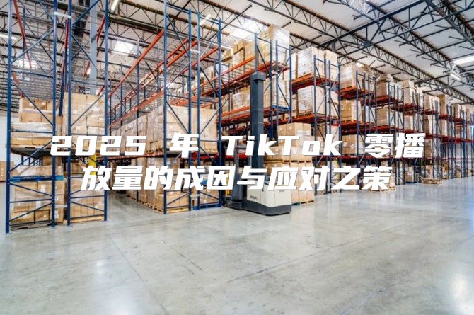 2025 年 TikTok 零播放量的成因与应对之策