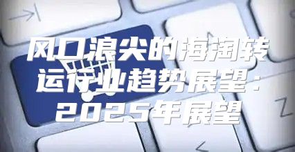 风口浪尖的海淘转运行业趋势展望：2025年展望
