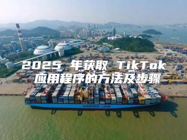 2025 年获取 TikTok 应用程序的方法及步骤