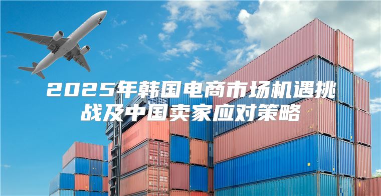 2025年韩国电商市场机遇挑战及中国卖家应对策略