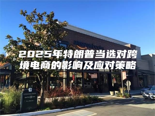 2025年特朗普当选对跨境电商的影响及应对策略