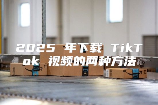 2025 年下载 TikTok 视频的两种方法