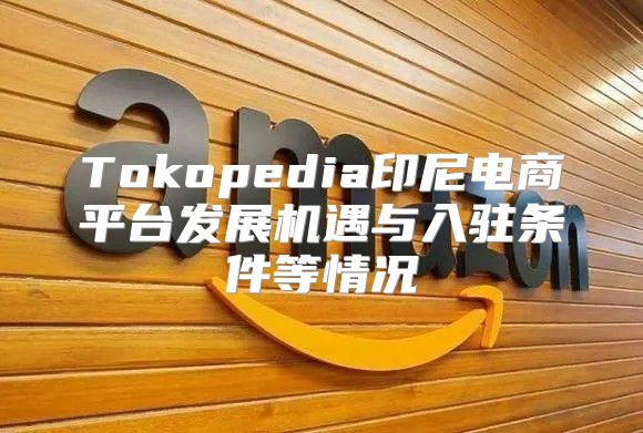Tokopedia印尼电商平台发展机遇与入驻条件等情况