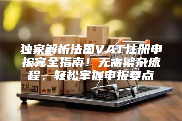 独家解析法国VAT注册申报完全指南！无需繁杂流程，轻松掌握申报要点