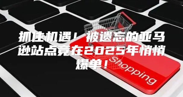 抓住机遇！被遗忘的亚马逊站点竟在2025年悄悄爆单！