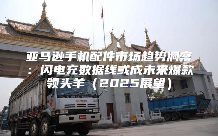 亚马逊手机配件市场趋势洞察：闪电充数据线或成未来爆款领头羊2025展望