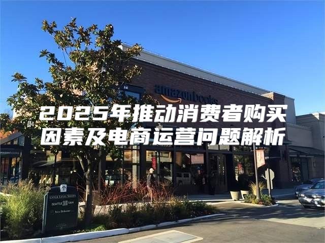 2025年推动消费者购买因素及电商运营问题解析