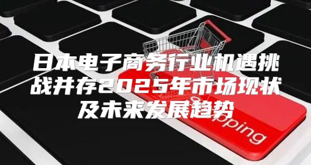 日本电子商务行业机遇挑战并存2025年市场现状及未来发展趋势