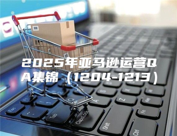 2025年亚马逊运营QA集锦1204-1213