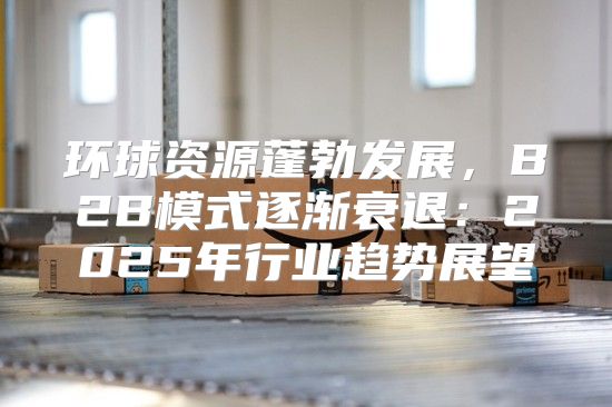 环球资源蓬勃发展，B2B模式逐渐衰退：2025年行业趋势展望