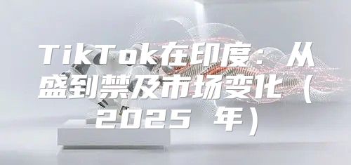 TikTok在印度：从盛到禁及市场变化2025 年