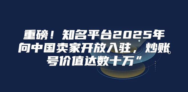 重磅！知名平台2025年向中国卖家开放入驻，炒账号价值达数十万”