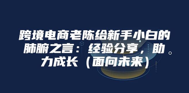 跨境电商老陈给新手小白的肺腑之言：经验分享，助力成长面向未来