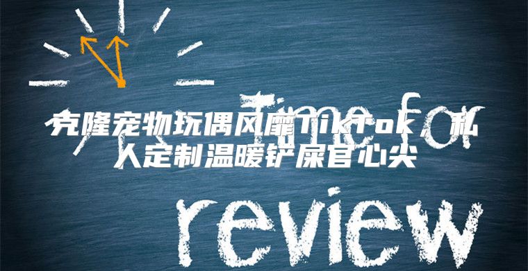 克隆宠物玩偶风靡TikTok，私人定制温暖铲屎官心尖