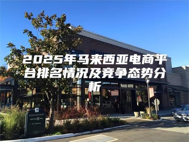2025年马来西亚电商平台排名情况及竞争态势分析