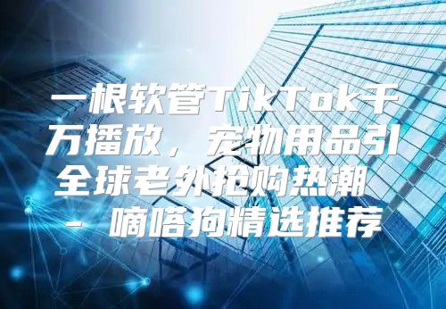 一根软管TikTok千万播放，宠物用品引全球老外抢购热潮 - 嘀嗒狗精选推荐